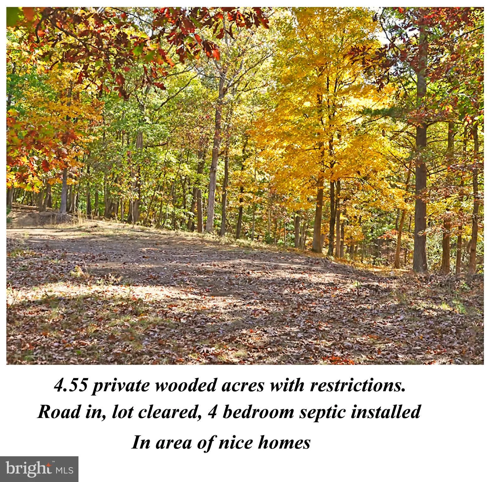 Braeburn Drive, Augusta, WV 26704