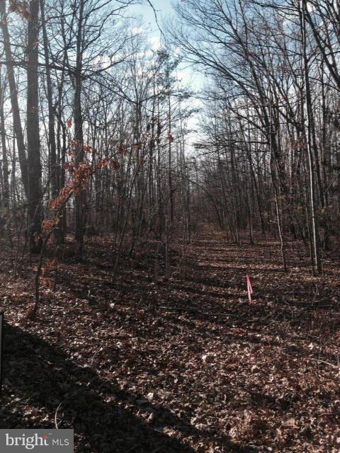 NONE AVAILABLE - Land