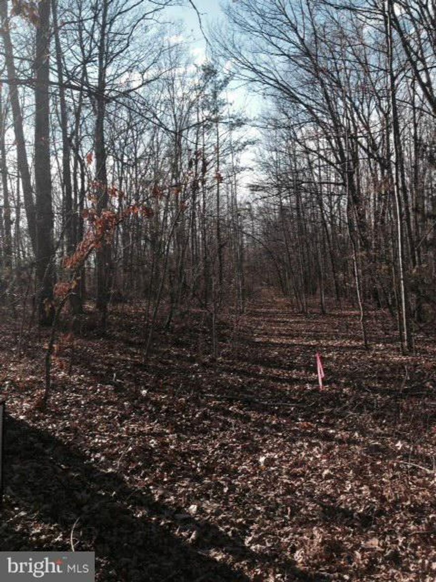 17+/- Acres in Louisa County. Old hunting cabin and bored well on property- sold as-is. Sellers had 3 bd perk test done in 2001. Road frontage on Byrd Mill with driveway in. Convenient commute to Zion Crossroads, Charlottesville, or Richmond.