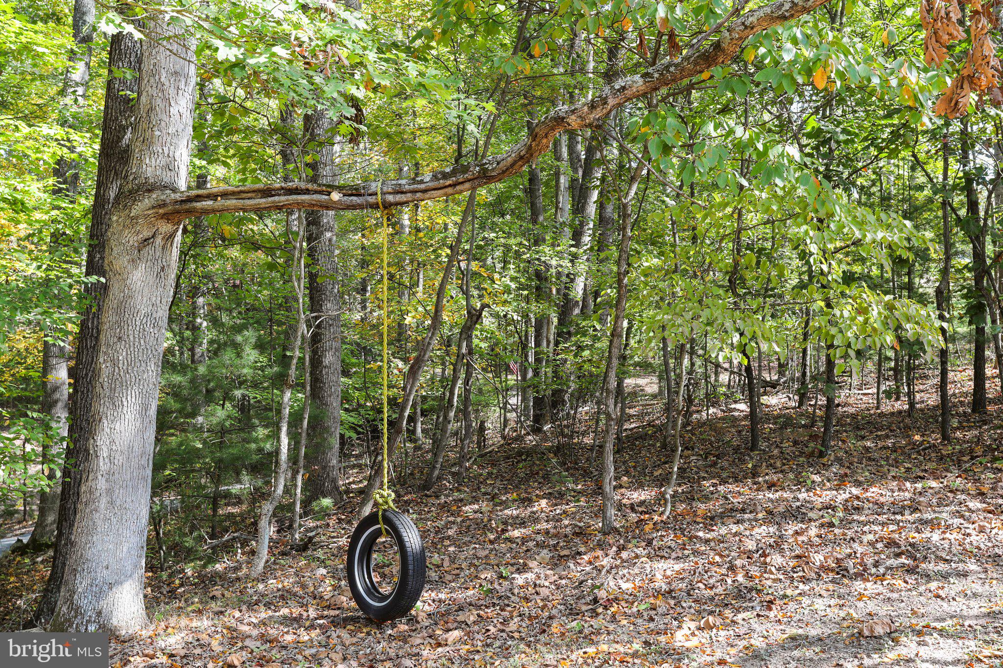 CHESTNUT GROVE - Residential