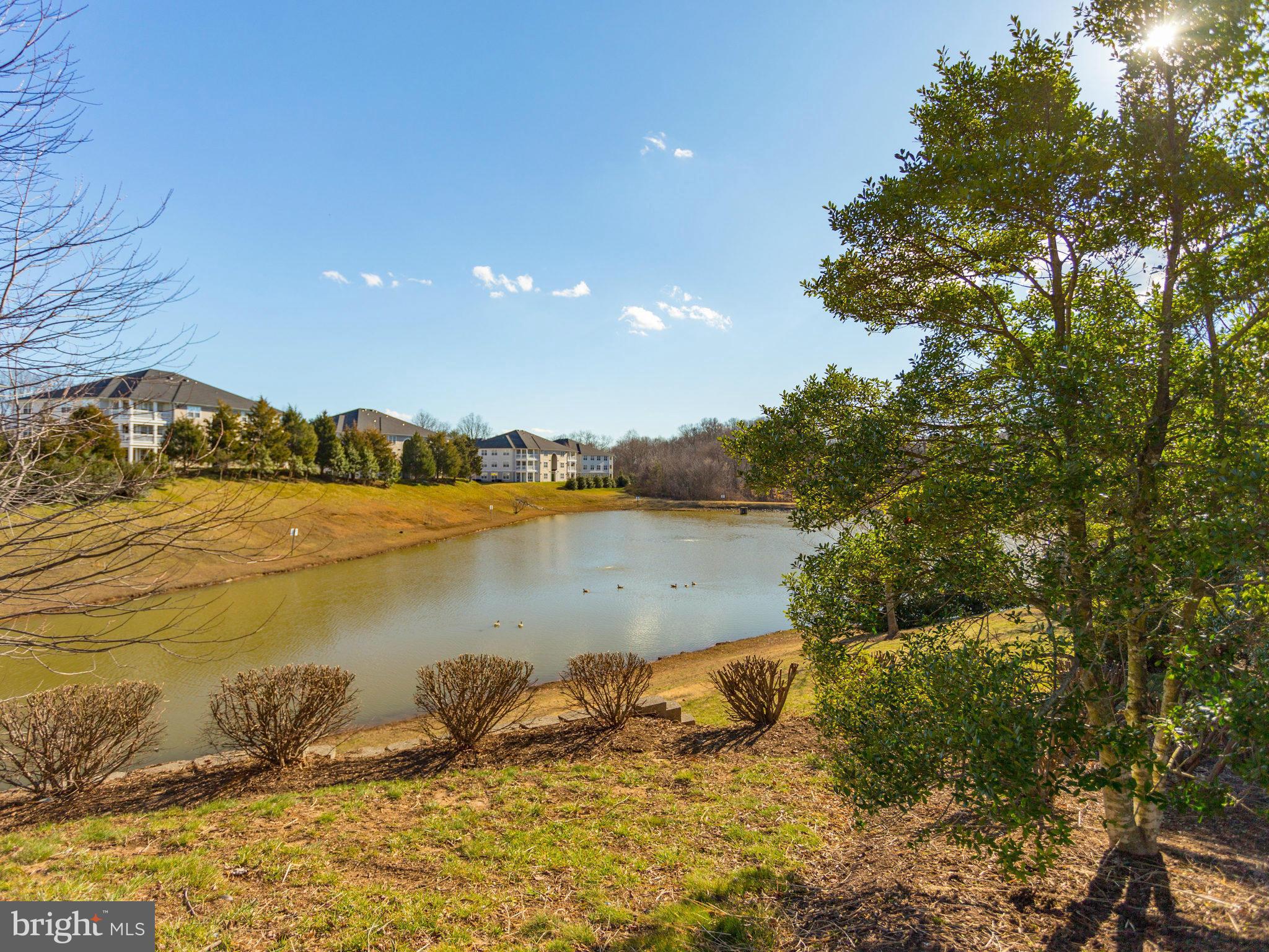 PRINCE WILLIAM COMMONS - Residential