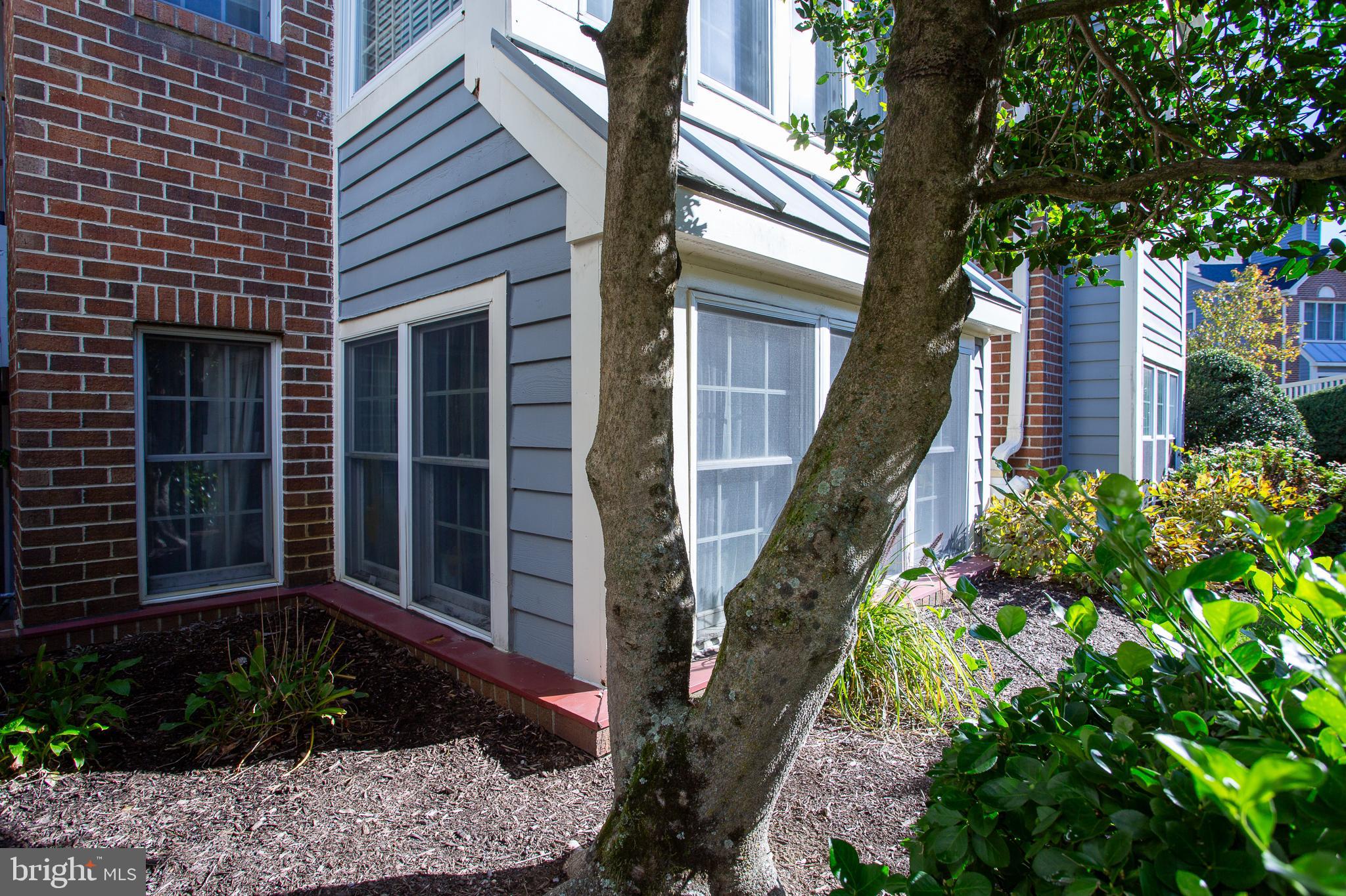 RIVA TRACE - Residential