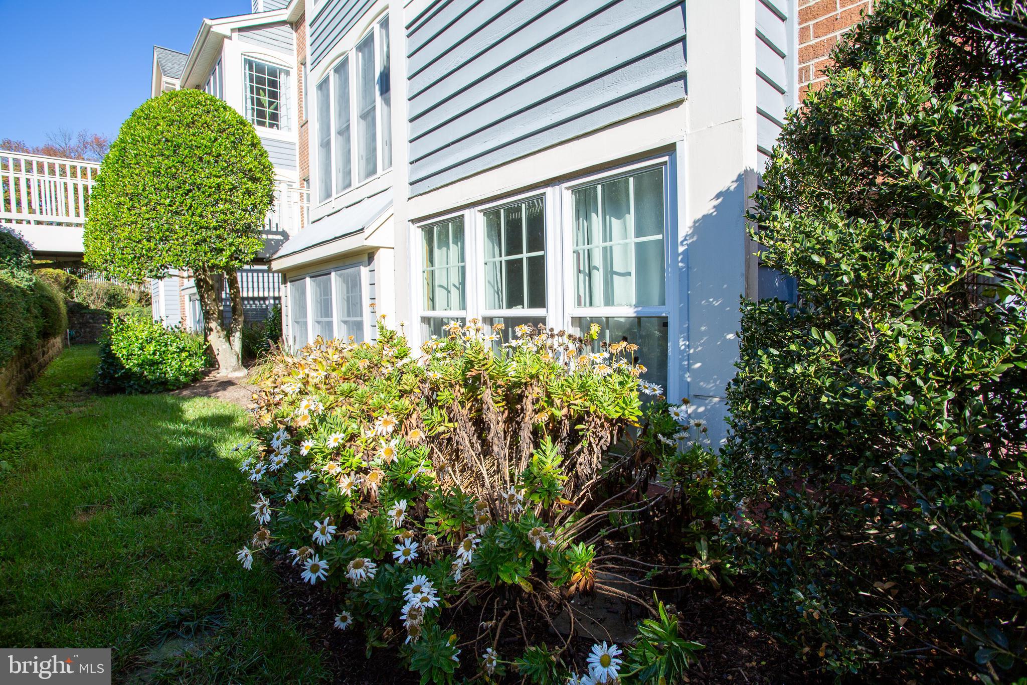 RIVA TRACE - Residential