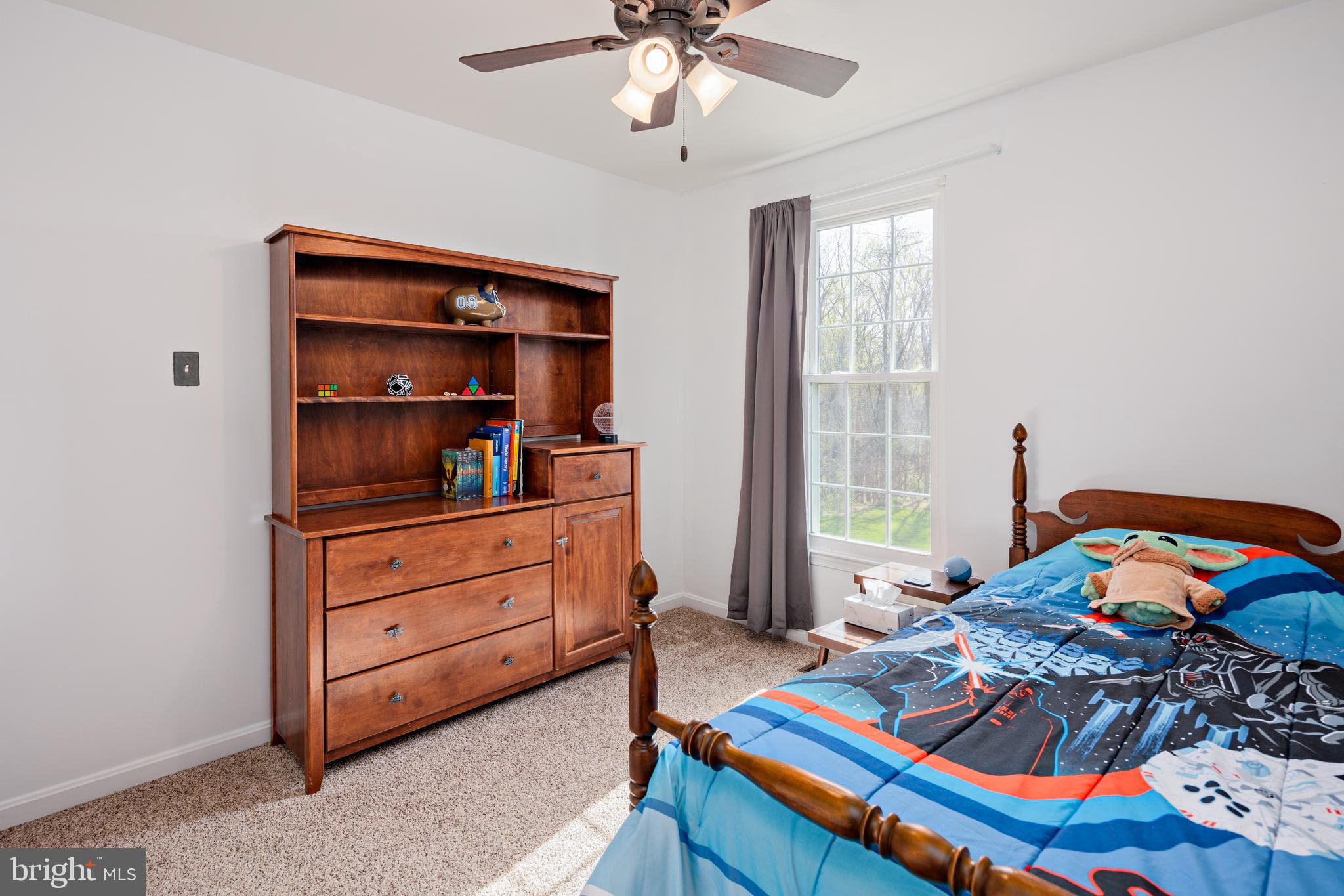 VILLAGE OF THOMAS RUN - Residential