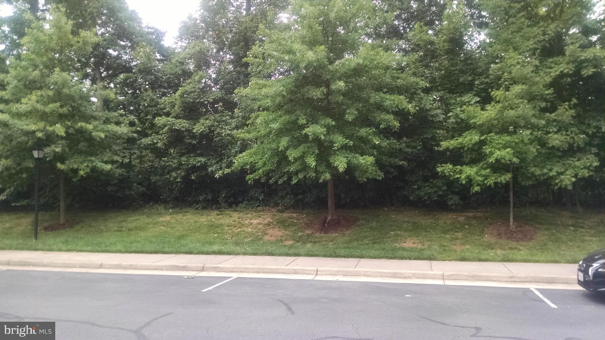 WILLOW OAKS - Residential Lease