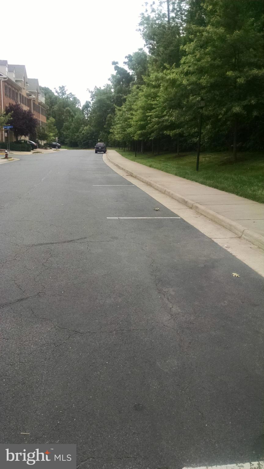 WILLOW OAKS - Residential Lease