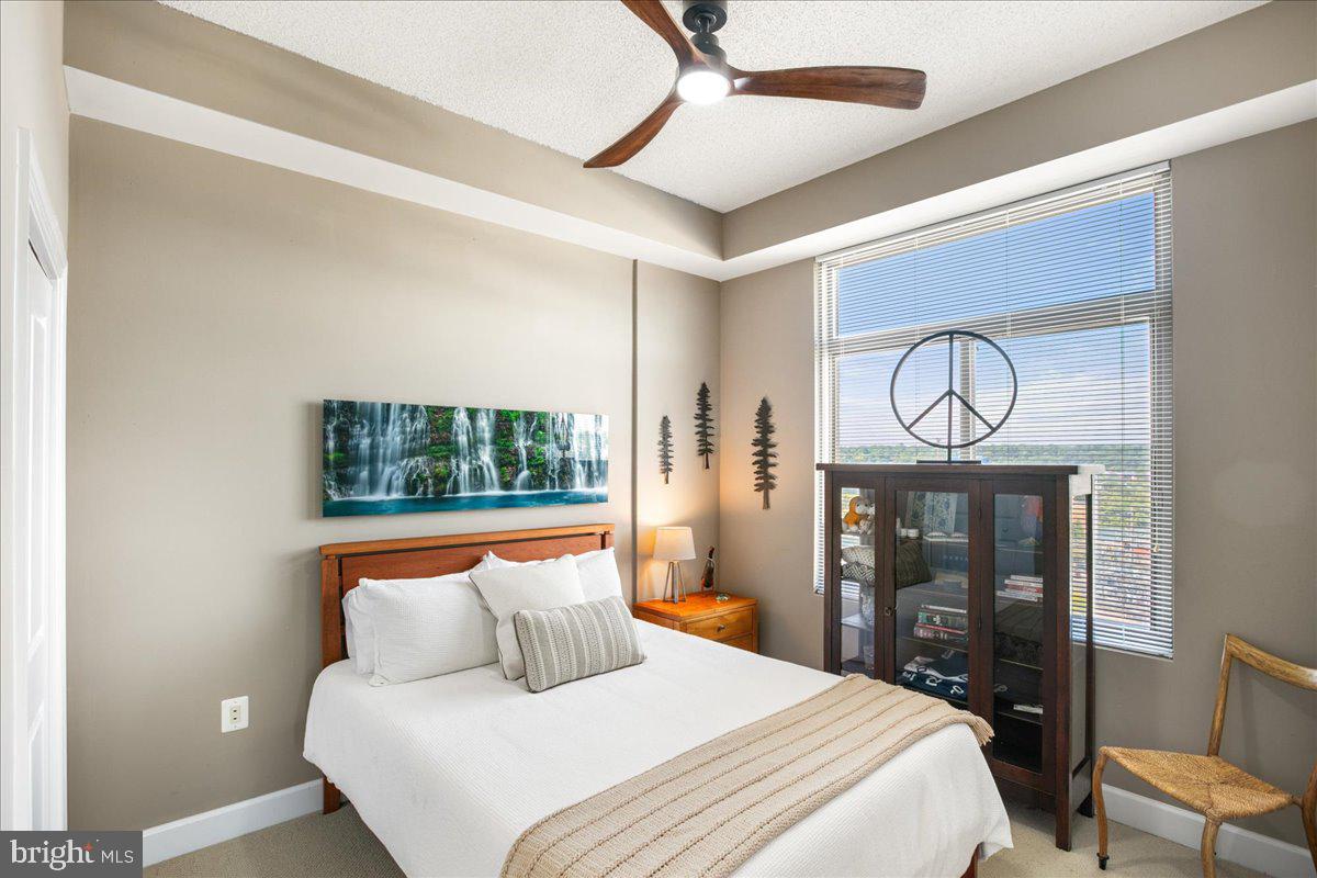 ECLIPSE ON CENTER PARK - Residential