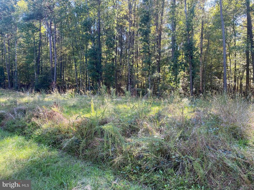 Wooded lot in a country setting ,with a perc, with no active HOA.