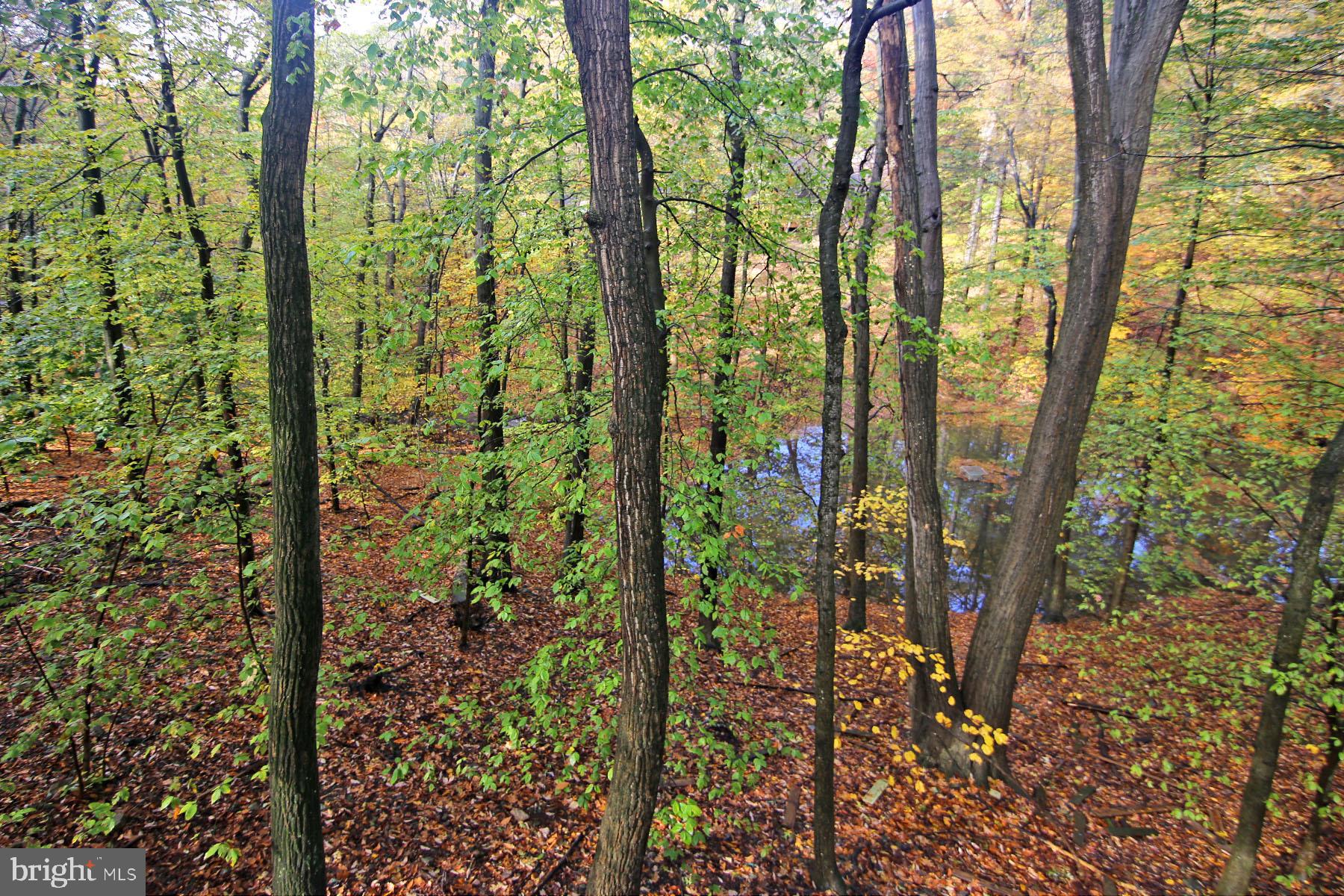 VILLAGE OF INNSBRUCK - Residential