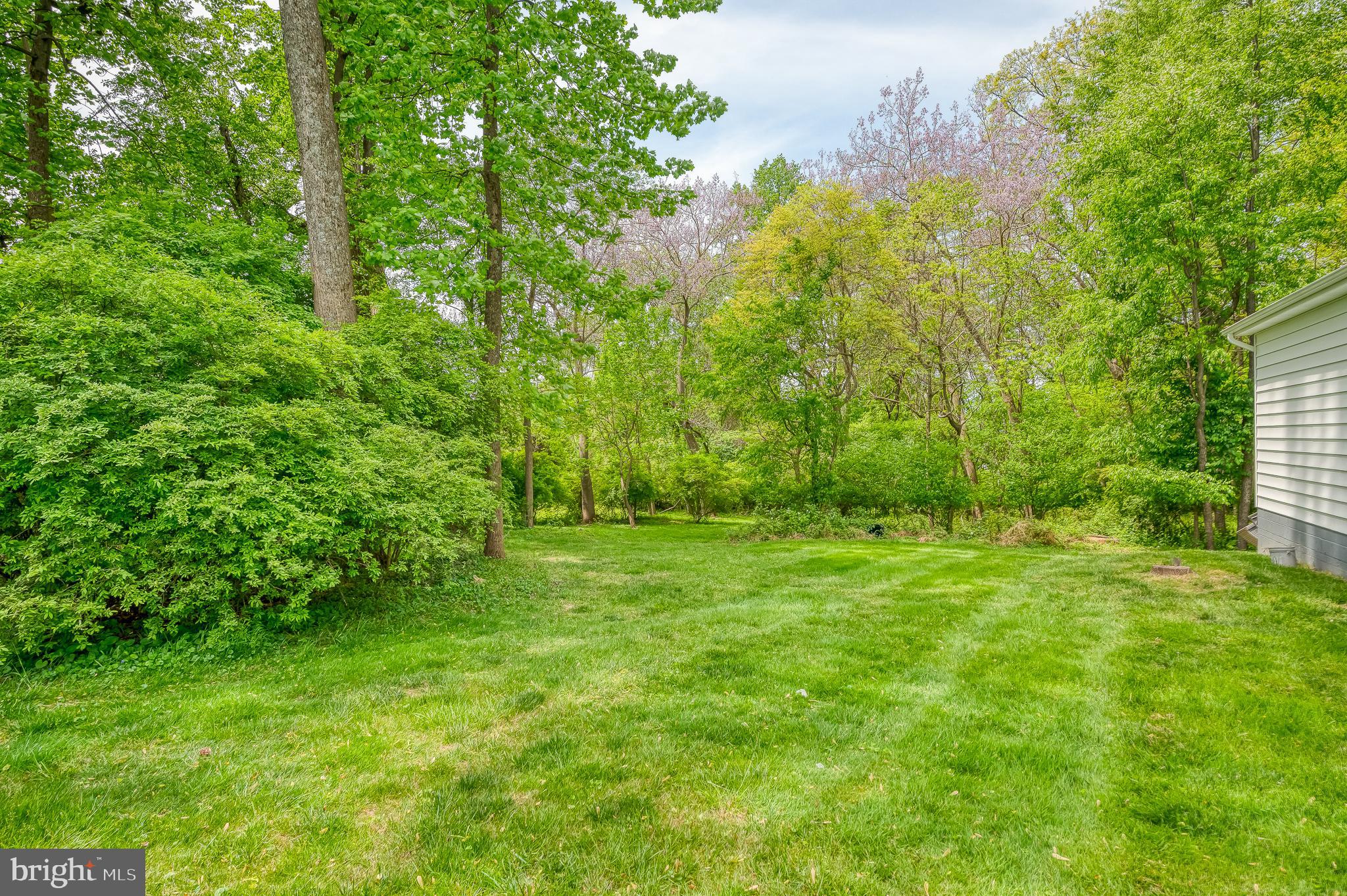 ROCHELLE MEADOWS - Residential