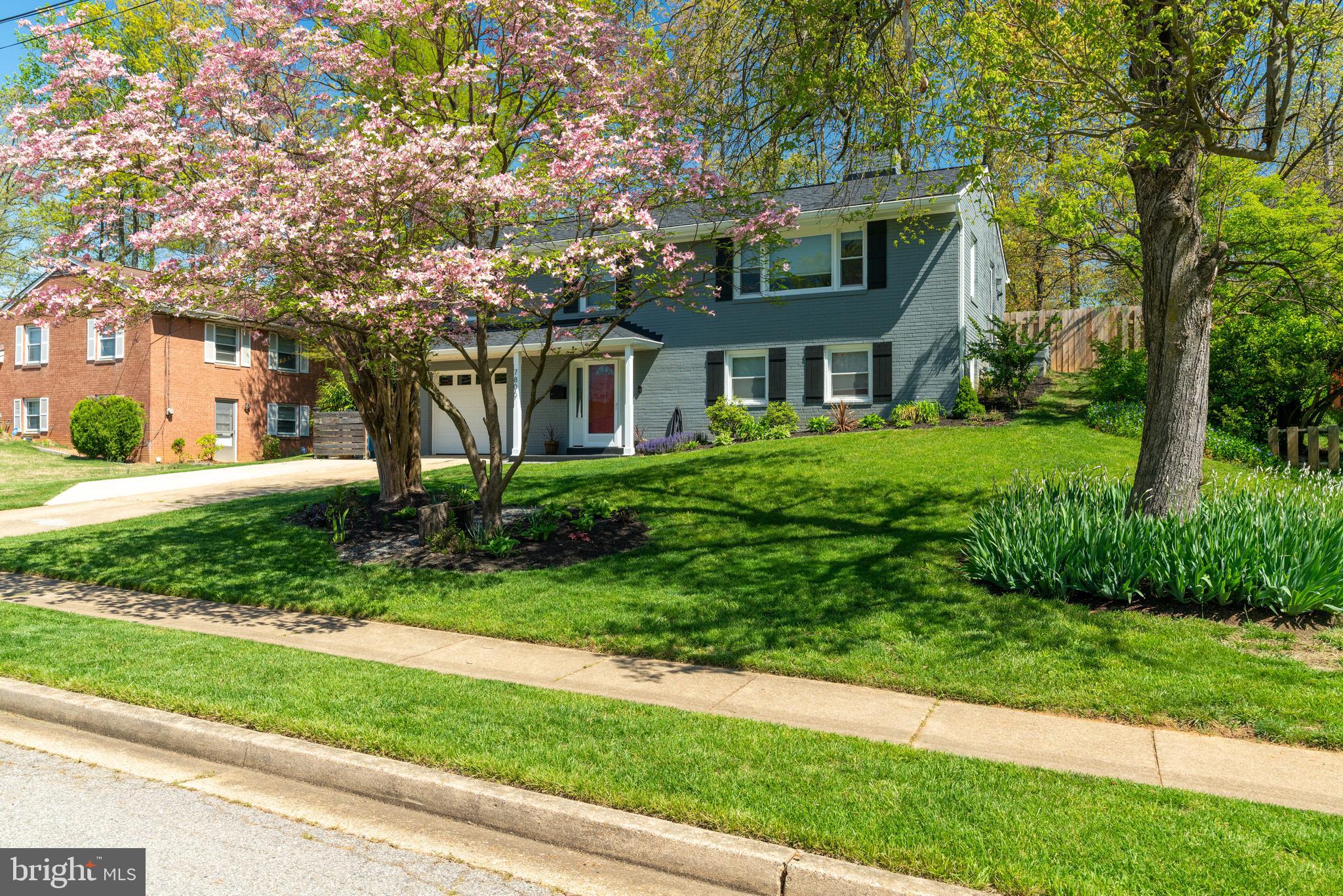 WEST SPRINGFIELD - Residential