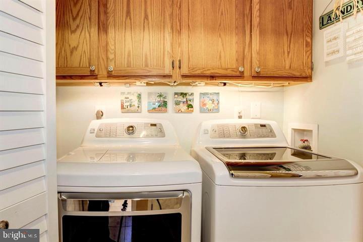 CARDINAL FOREST - Residential