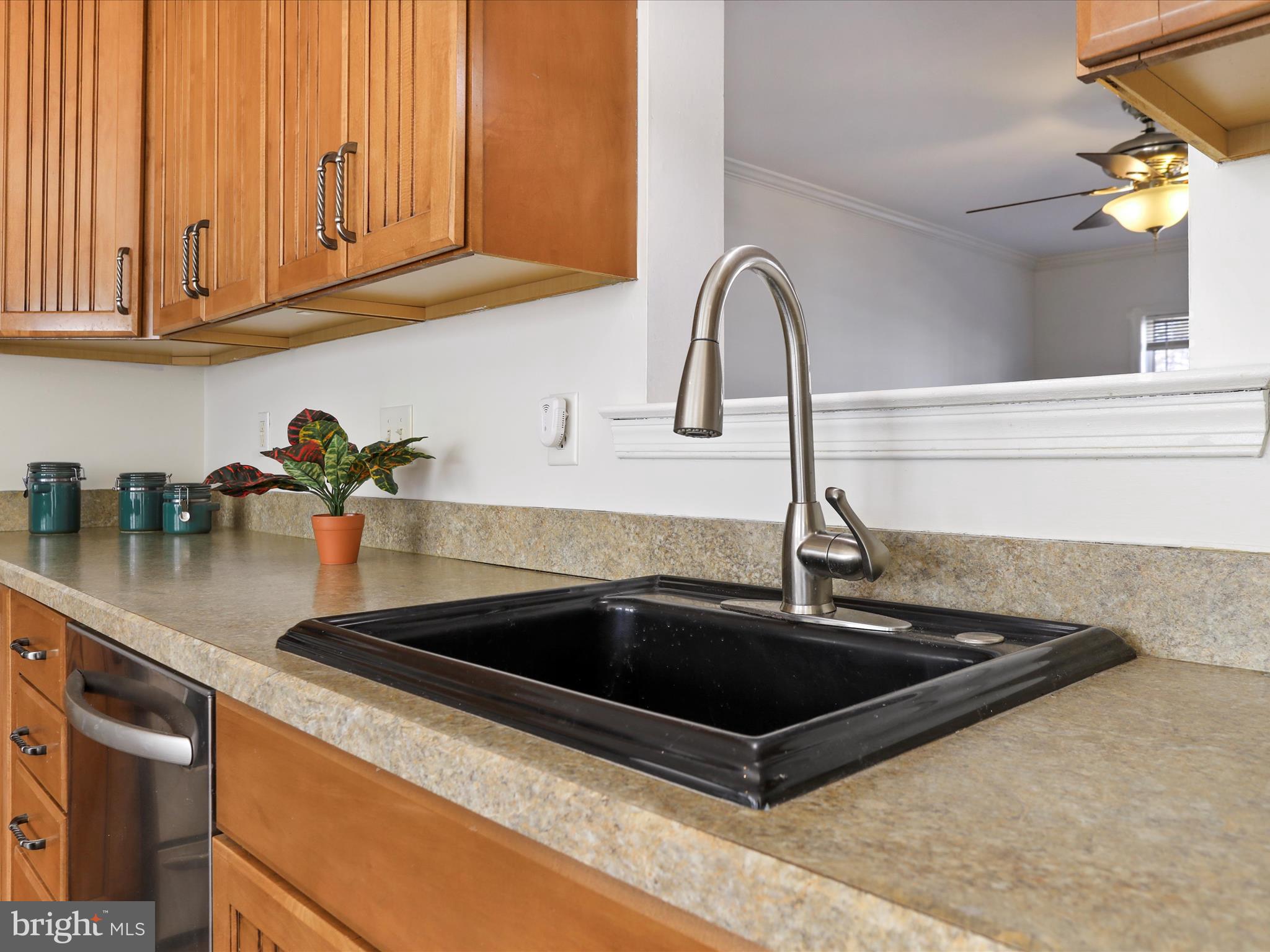 TROUT RUN - Residential