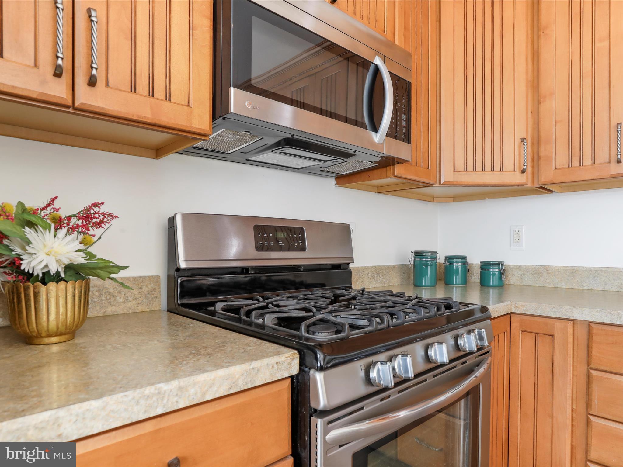 TROUT RUN - Residential