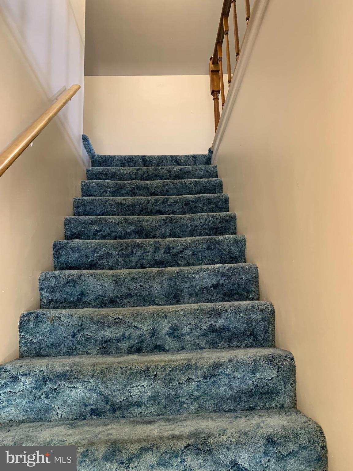 MARION - Residential Lease