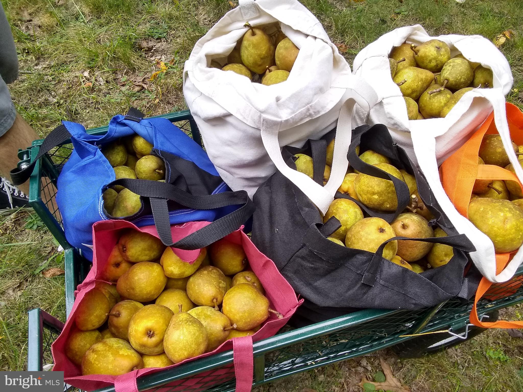 TIMBERVIEW - Residential