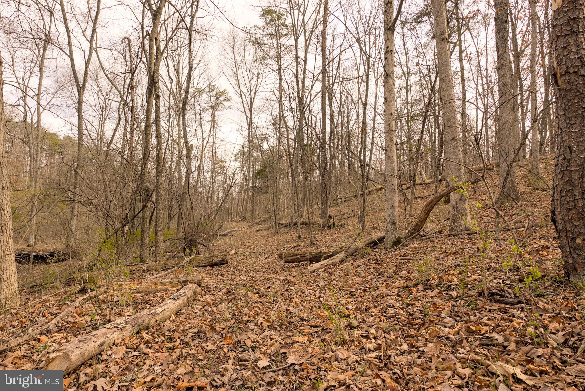 TIMBERVIEW - Residential