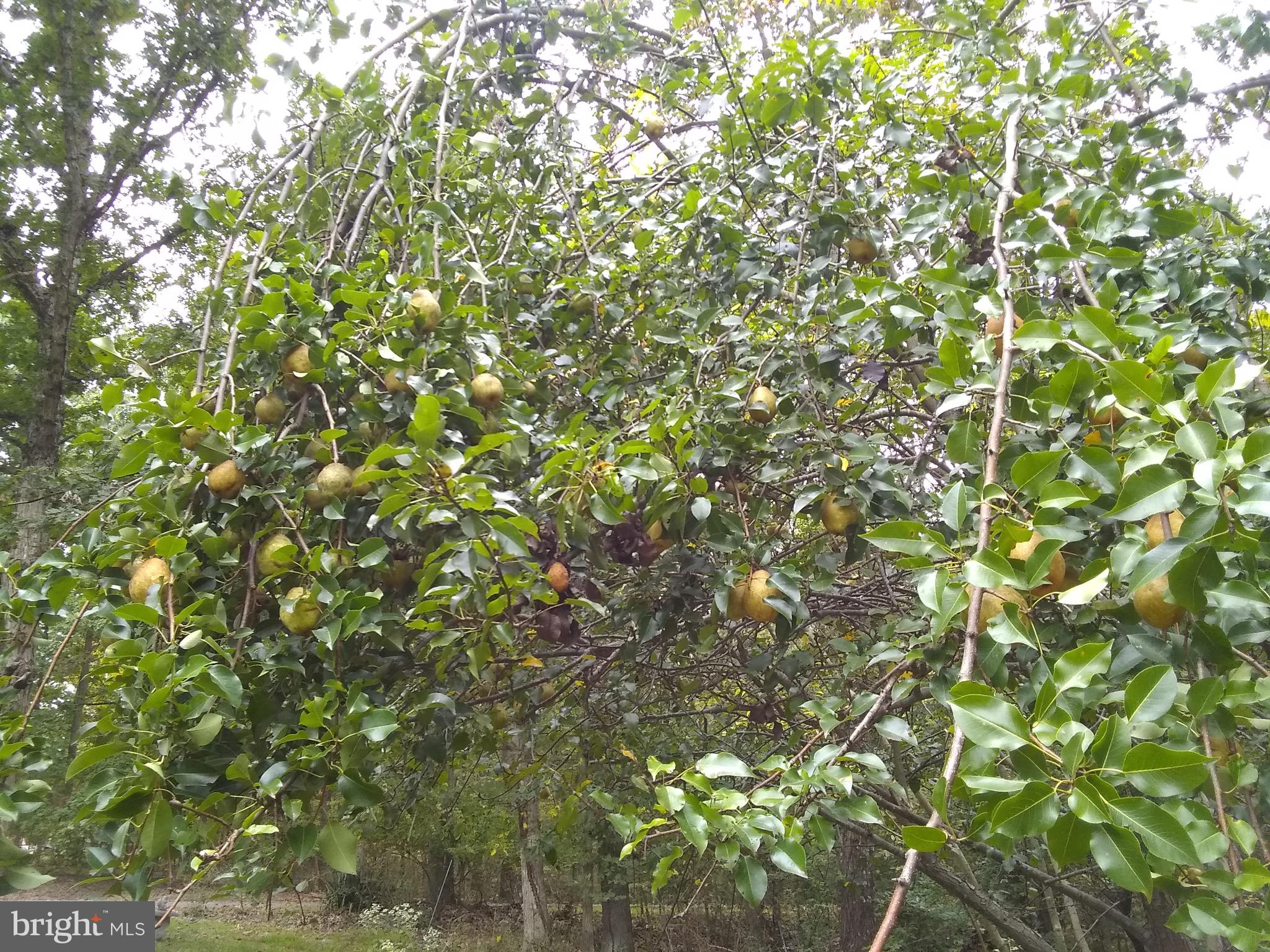 TIMBERVIEW - Residential