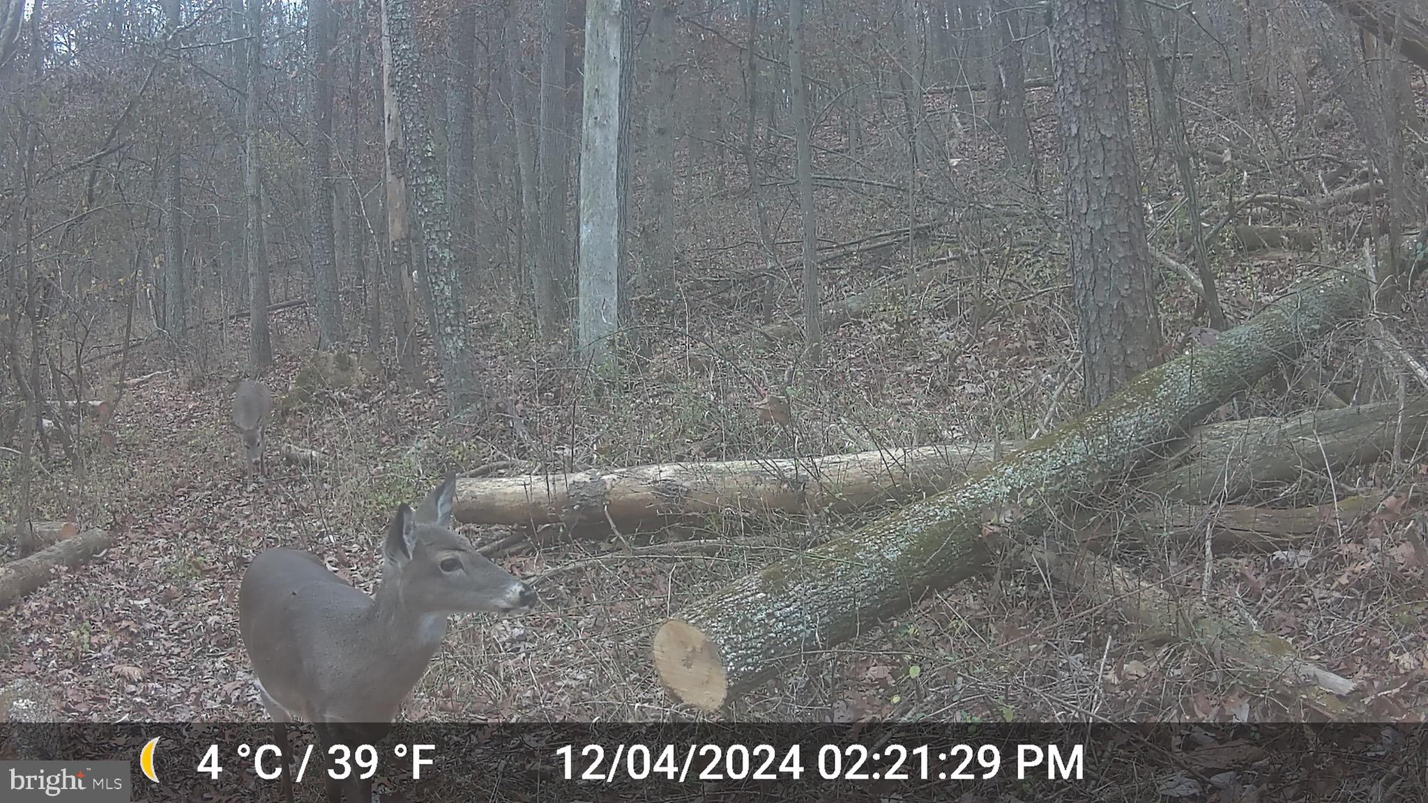 TIMBERVIEW - Residential