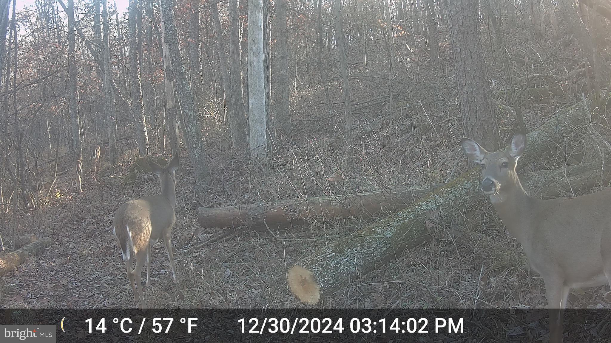 TIMBERVIEW - Residential