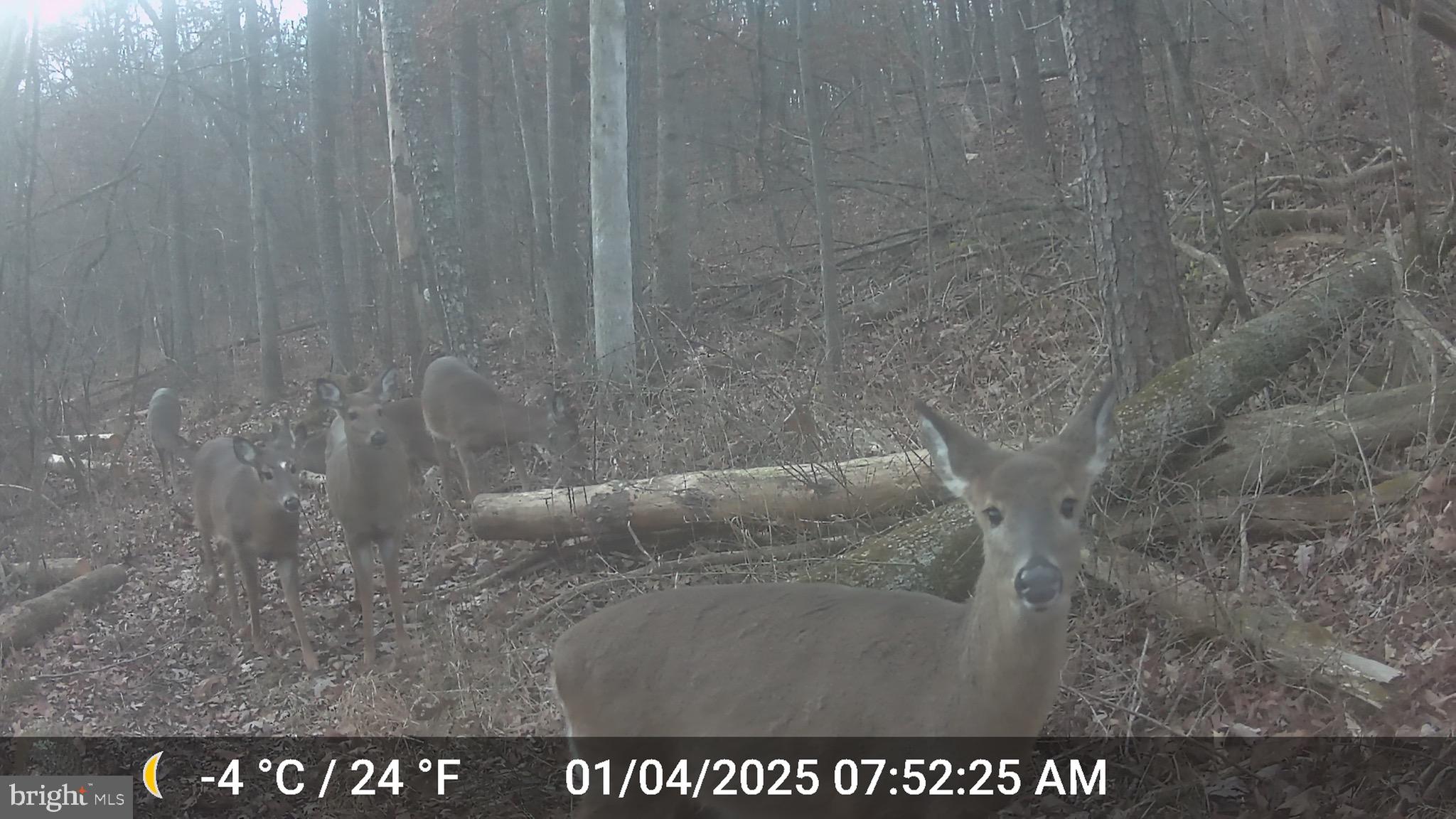 TIMBERVIEW - Residential