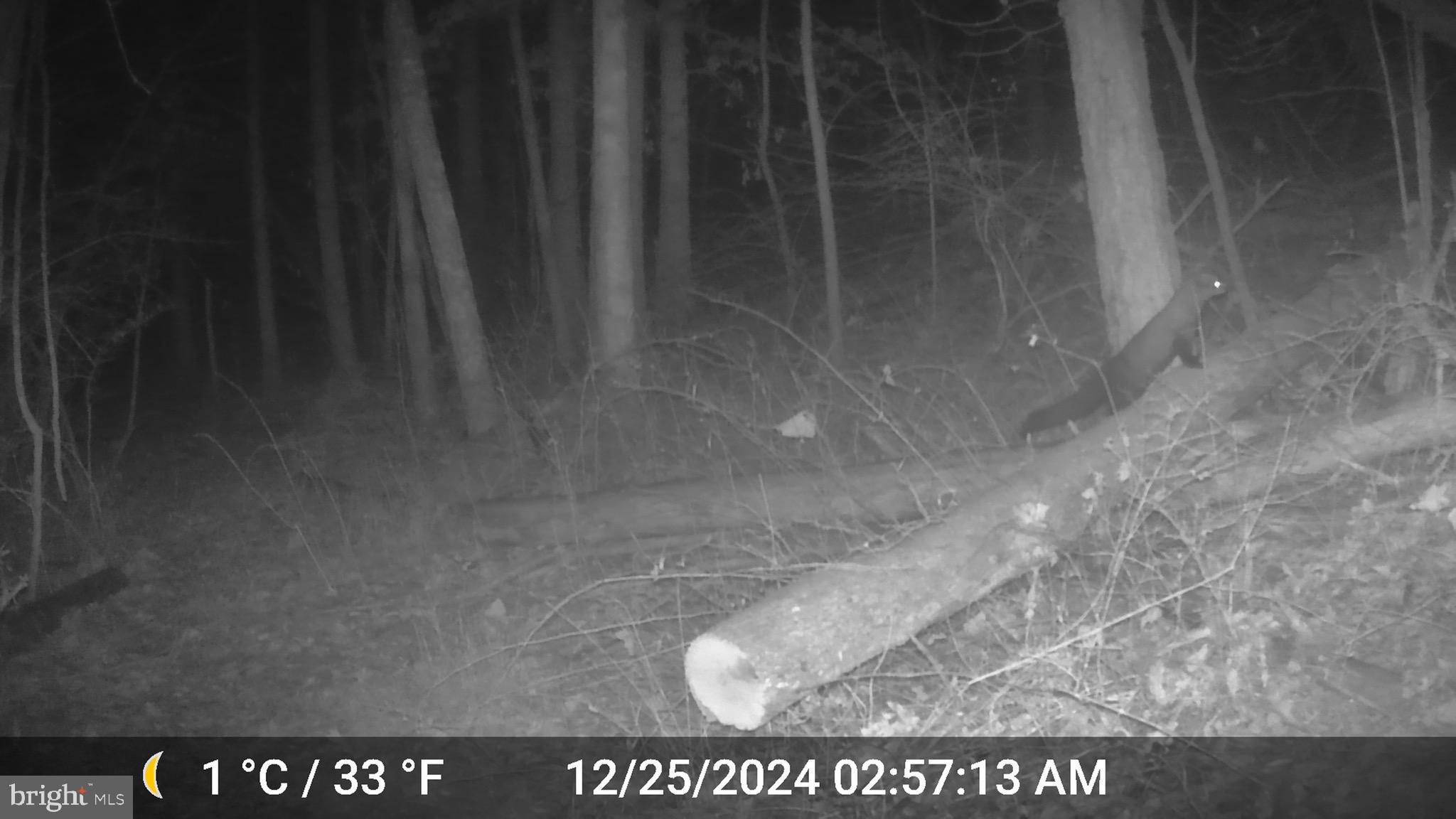 TIMBERVIEW - Residential