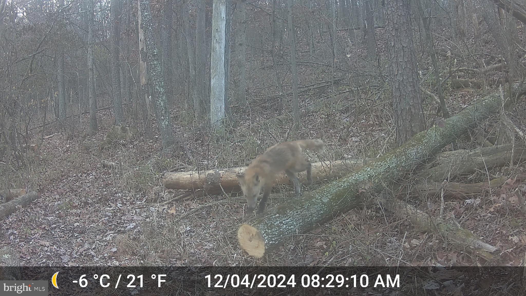 TIMBERVIEW - Residential