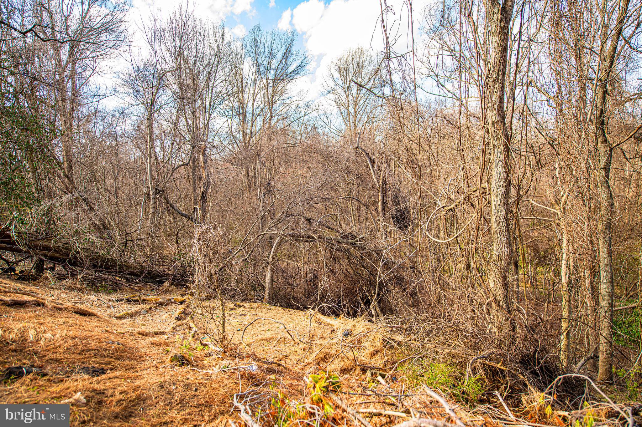 WILLOW GLEN NORTH - Residential