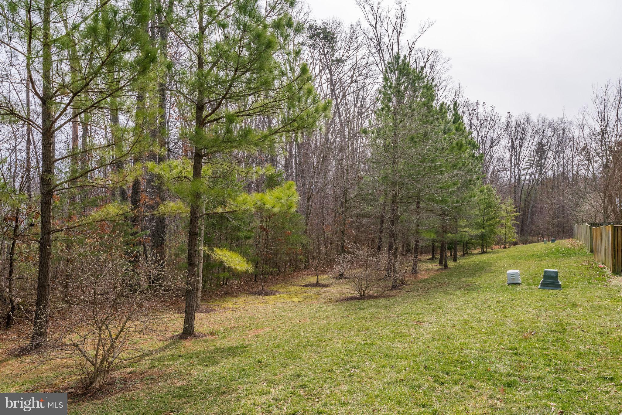 VILLAGES OF PIEDMONT - Residential