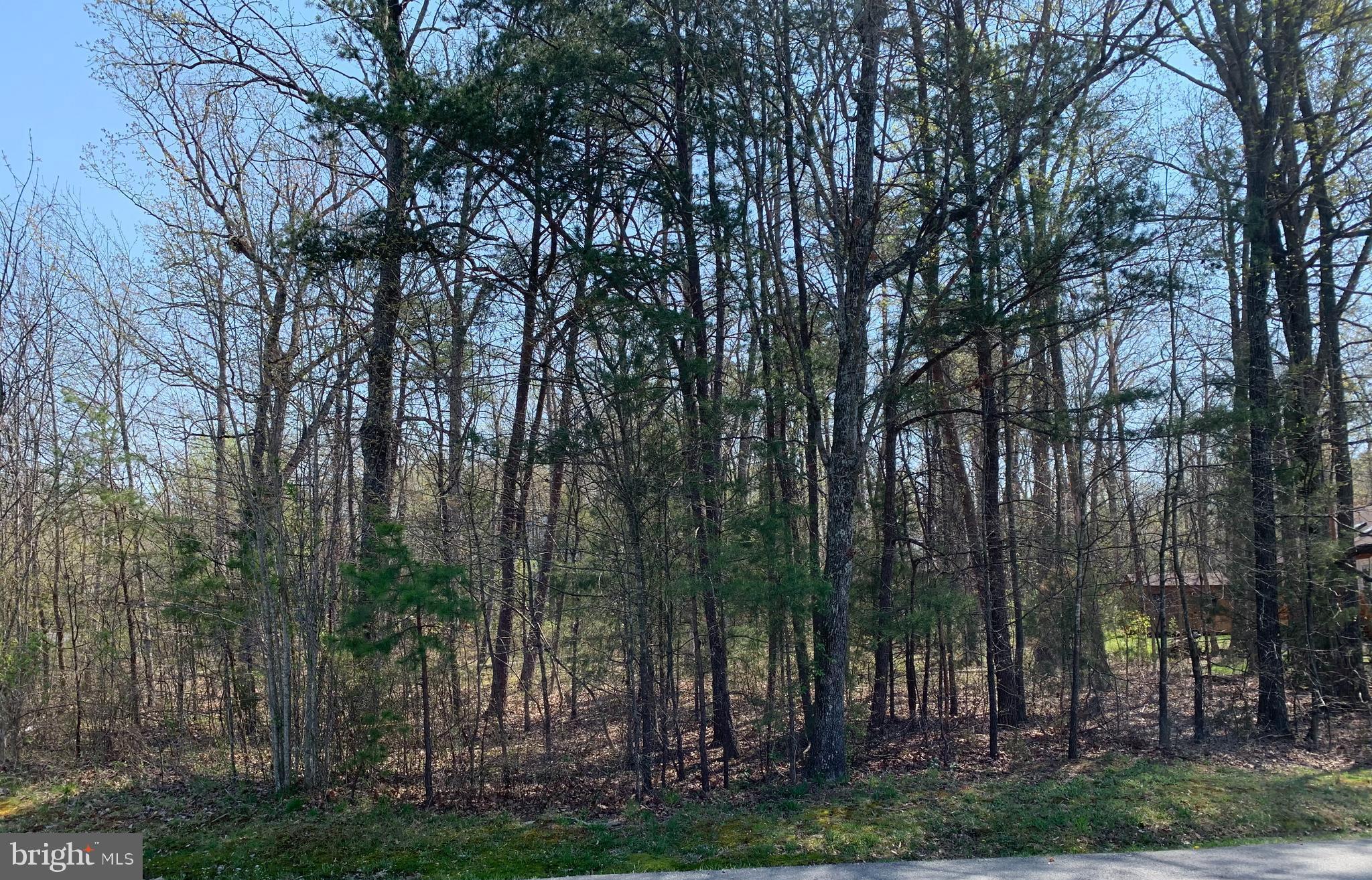 LAKE OF THE WOODS - Land