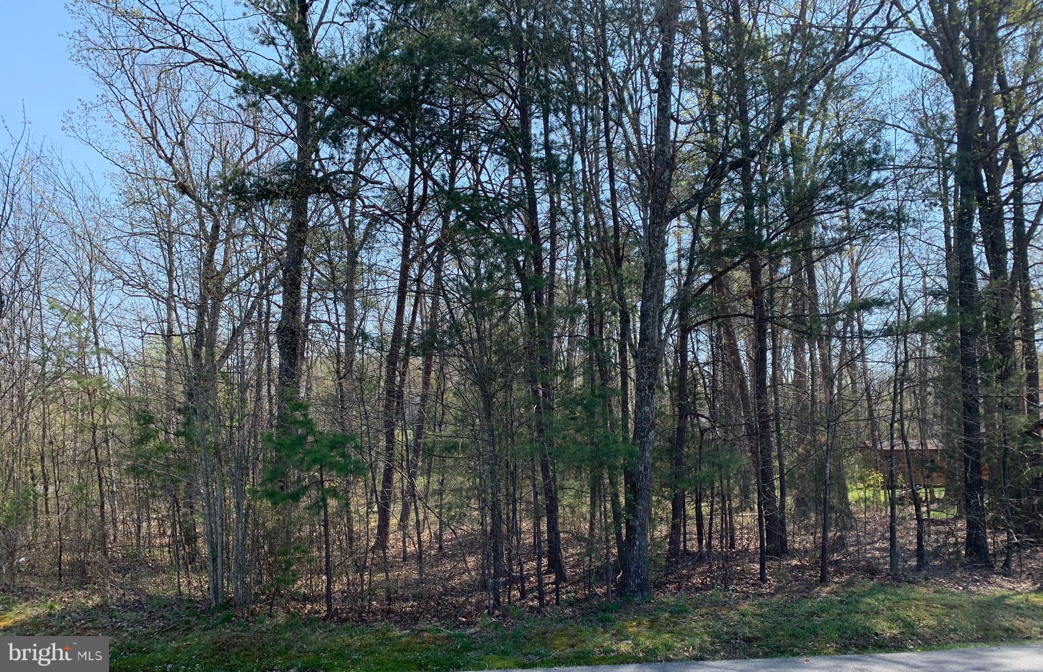 LAKE OF THE WOODS - Land