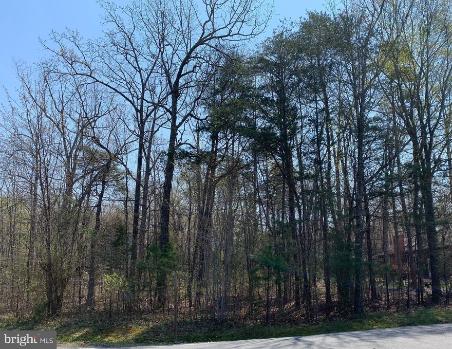 Imagine your dream home here! Nicely level wooded lot near beaches and parks.  Amenity rich Lake of the Woods offers so many choices: play golf, jump in the lake, swim at the pool, work out at the fitness center, or dine at the clubhouse overlooking the pristine lake, the choice is yours. A private, gated, secured community, Lake of the Woods offers anything and everything you could possibly want. Home to two lakes (the 550 acre main lake and a 35 acre "fishing lake"), a golf course, an equestrian center, a fire and rescue department, and a church all within the gates, Lake of the Woods simply has it all. Whether your passion is boating, water skiing, kayaking, golfing, horseback riding, or simply taking in the breathtaking views from the clubhouse while enjoying a fabulous meal, from your own deck or yard, or from one of the beaches, you won't be disappointed! Perhaps you'd like a game of bridge or volunteering your time and talents...Lake of the Woods offers more than 60 clubs and/or organizations from which you may choose to become involved. Located in Orange County, we are fortunate to enjoy low real estate taxes. Coupled with home prices ranging from the mid-$100,000s to over $2,000,000, Lake of the Woods is the perfect community for both full-time residents, as well as weekenders. But don't take my word for it, please come see for yourself! I will gladly give you a tour of Lake of the Woods by boat and by car so that you may experience why I love Lake of the Woods!