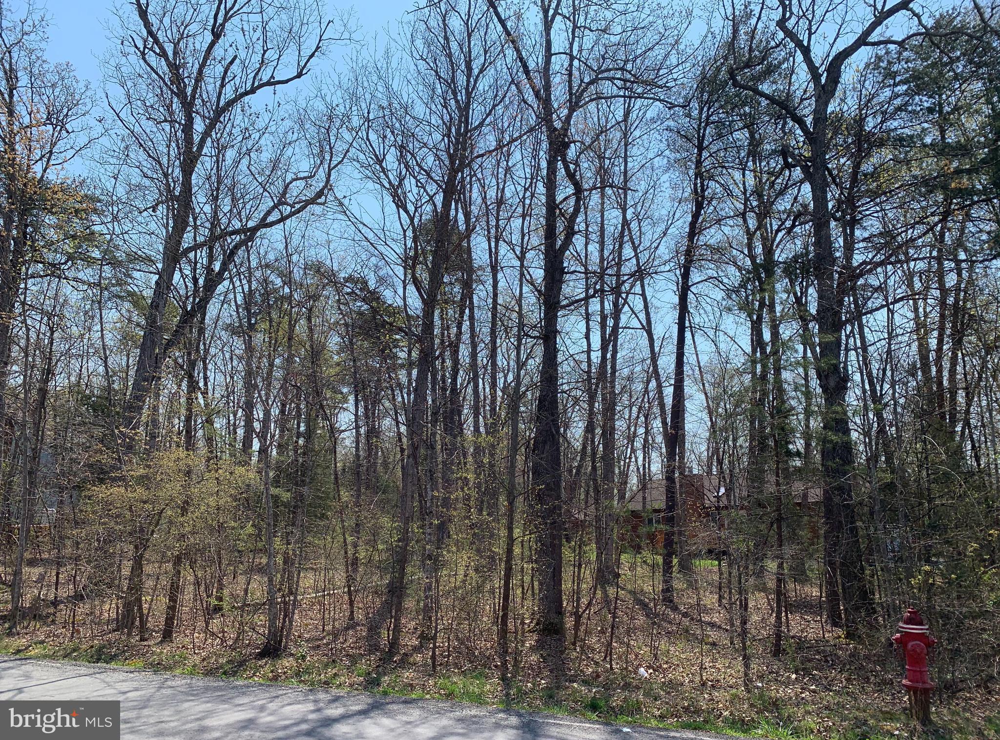 LAKE OF THE WOODS - Land