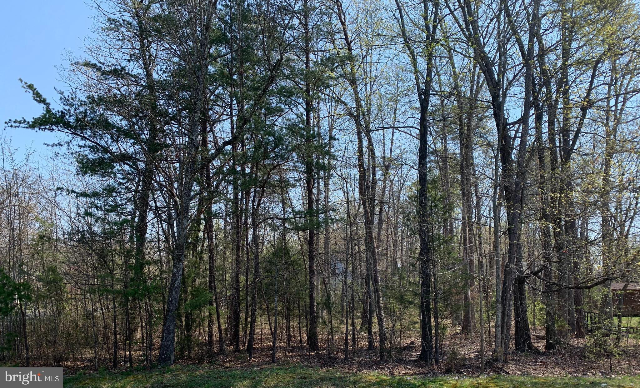 LAKE OF THE WOODS - Land