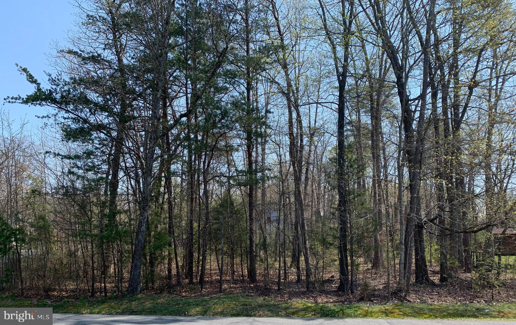 LAKE OF THE WOODS - Land