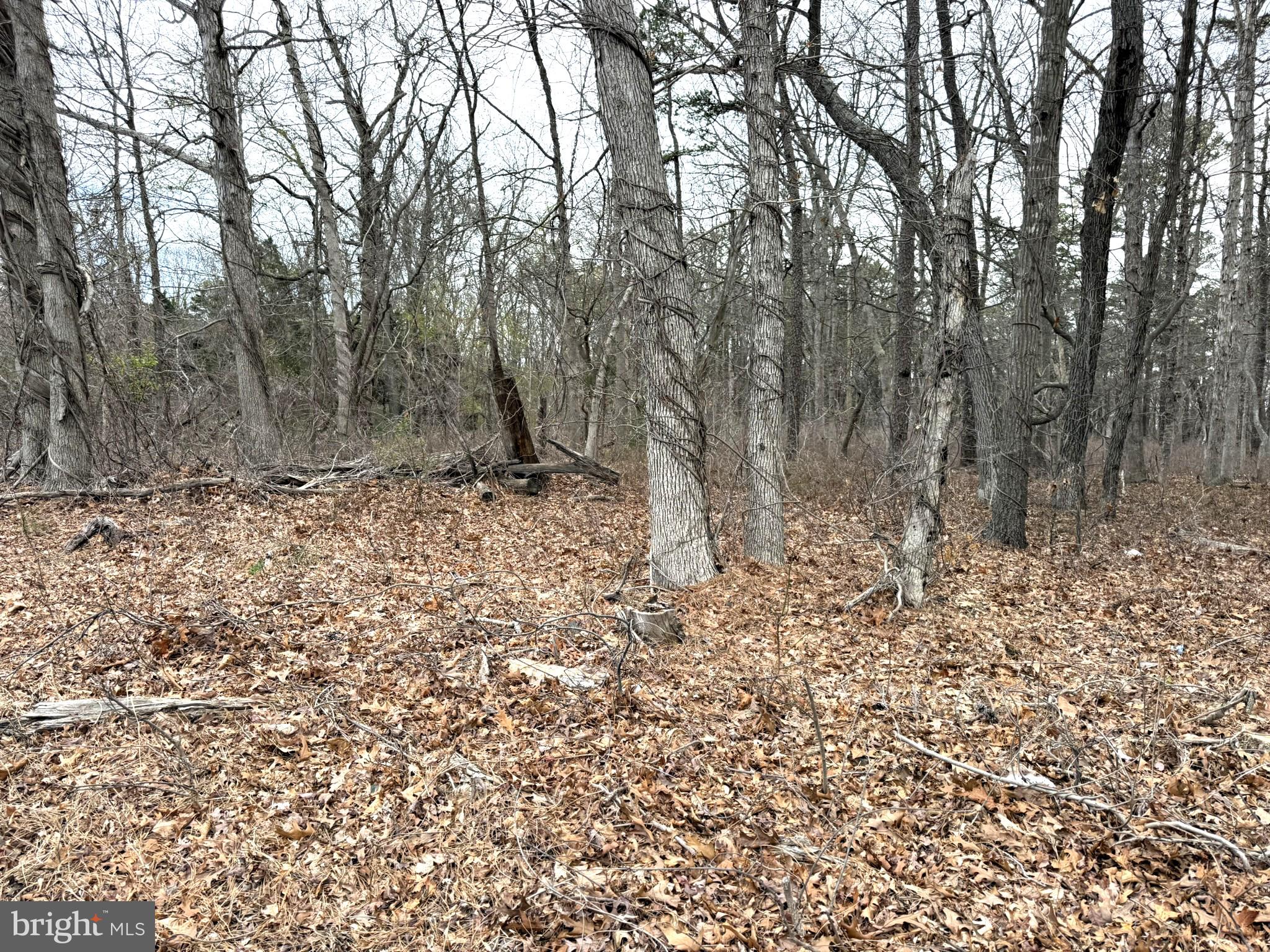 0 W WHITE HORSE PIKE