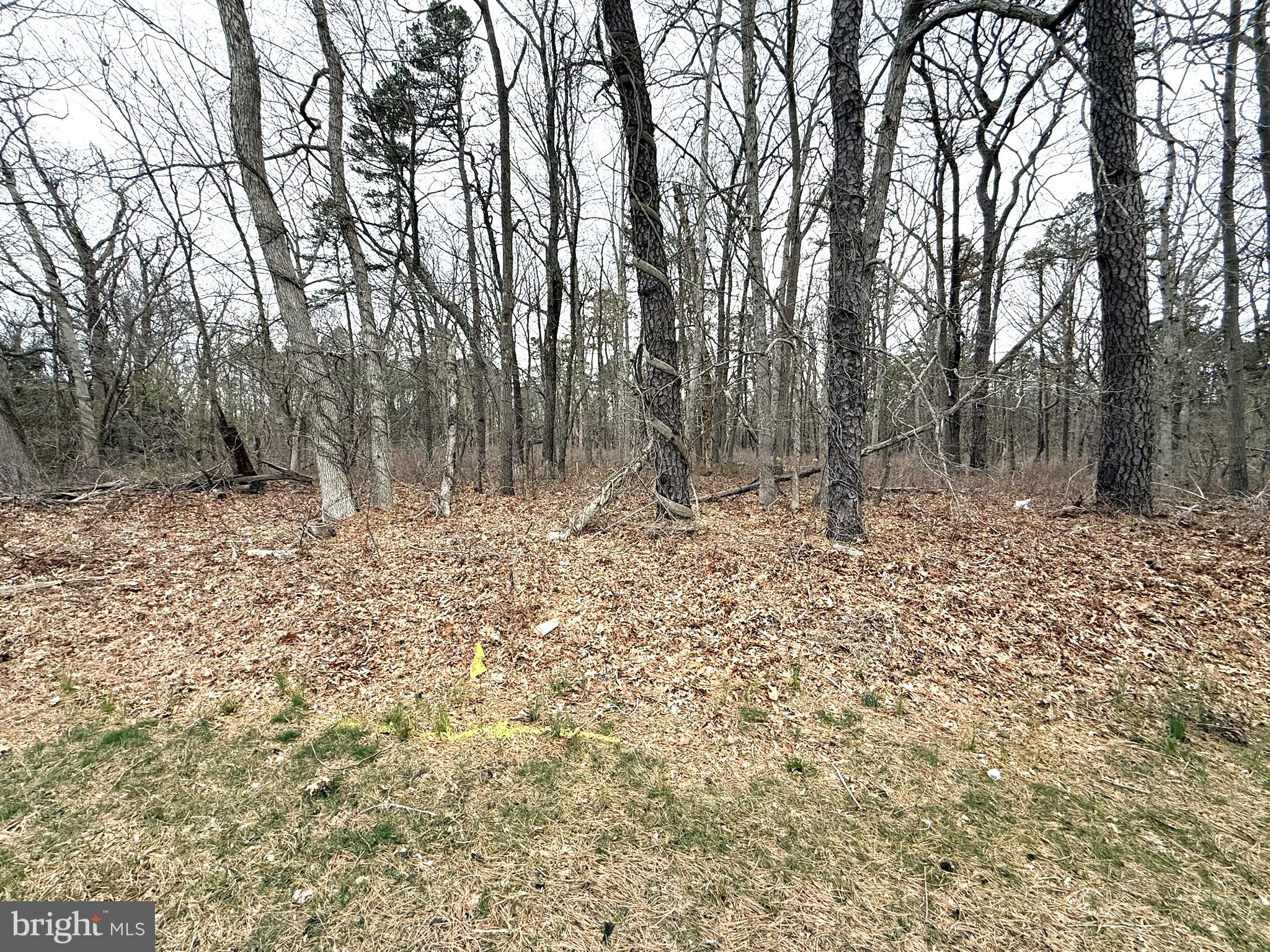 0 W WHITE HORSE PIKE