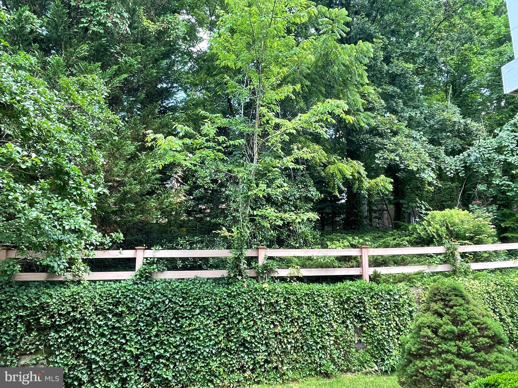 CEDAR GROVE AT CROFTON - Residential