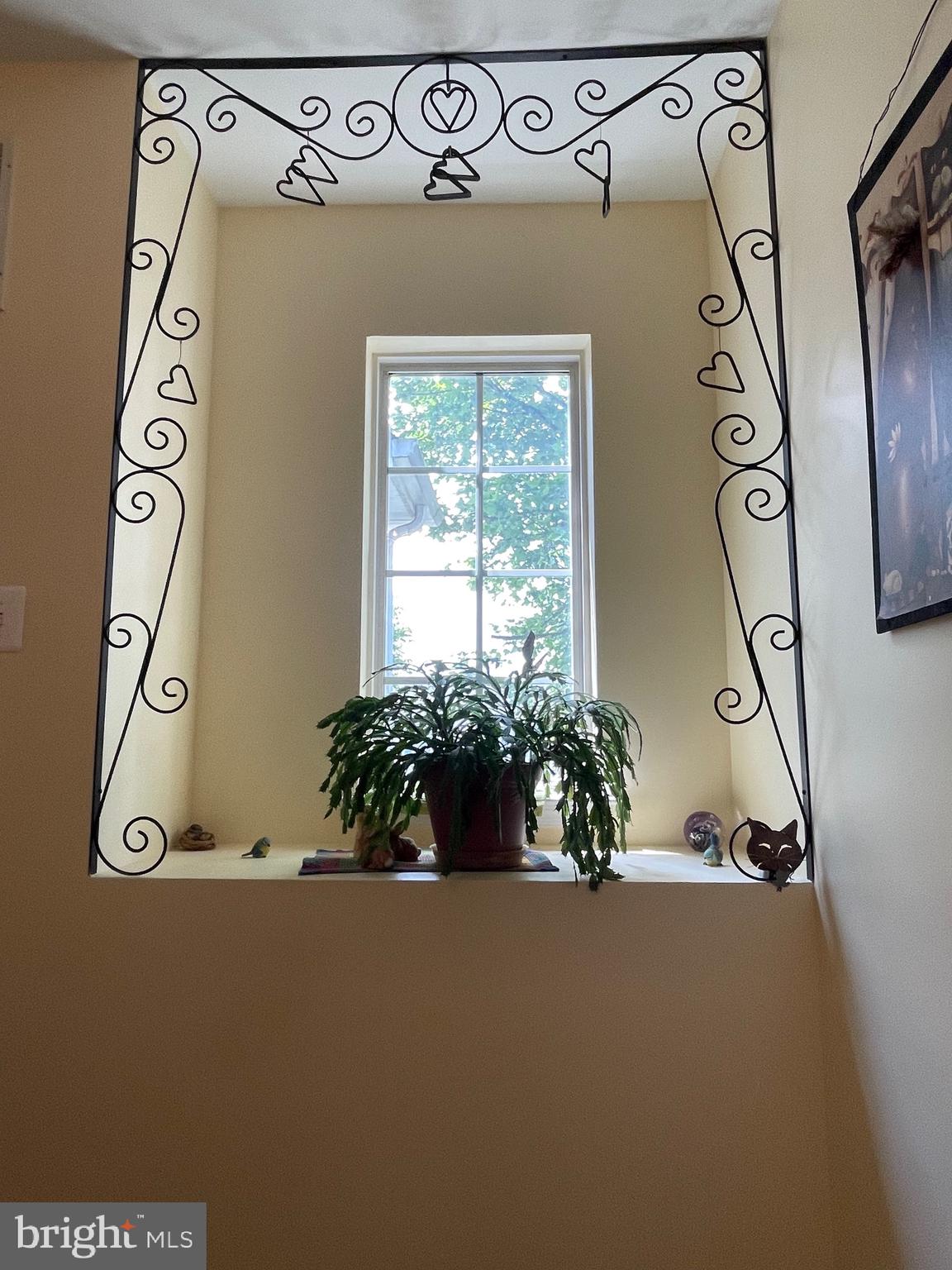 CEDAR GROVE AT CROFTON - Residential