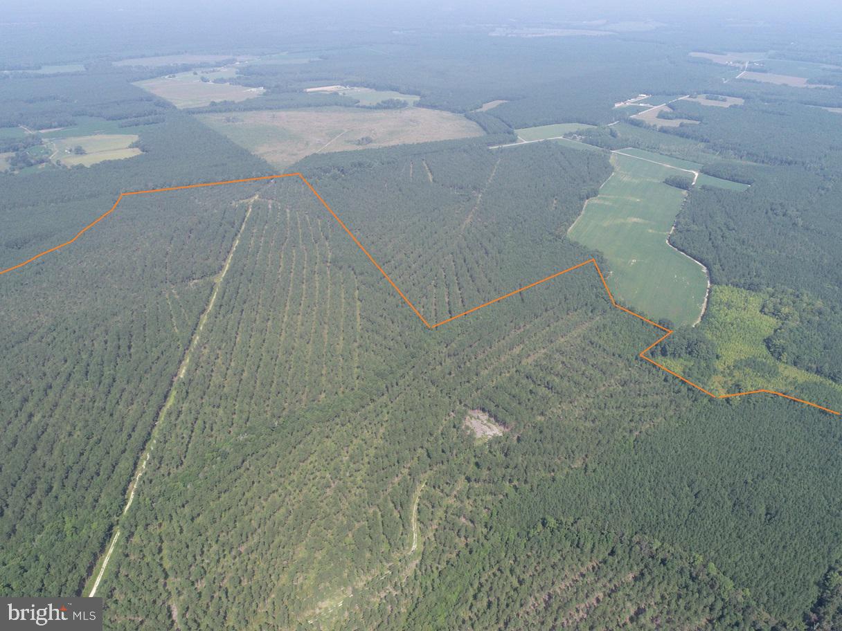 PLANK ROAD (TRACT: CHESAPEAKE SOUTHAMPTON 2)