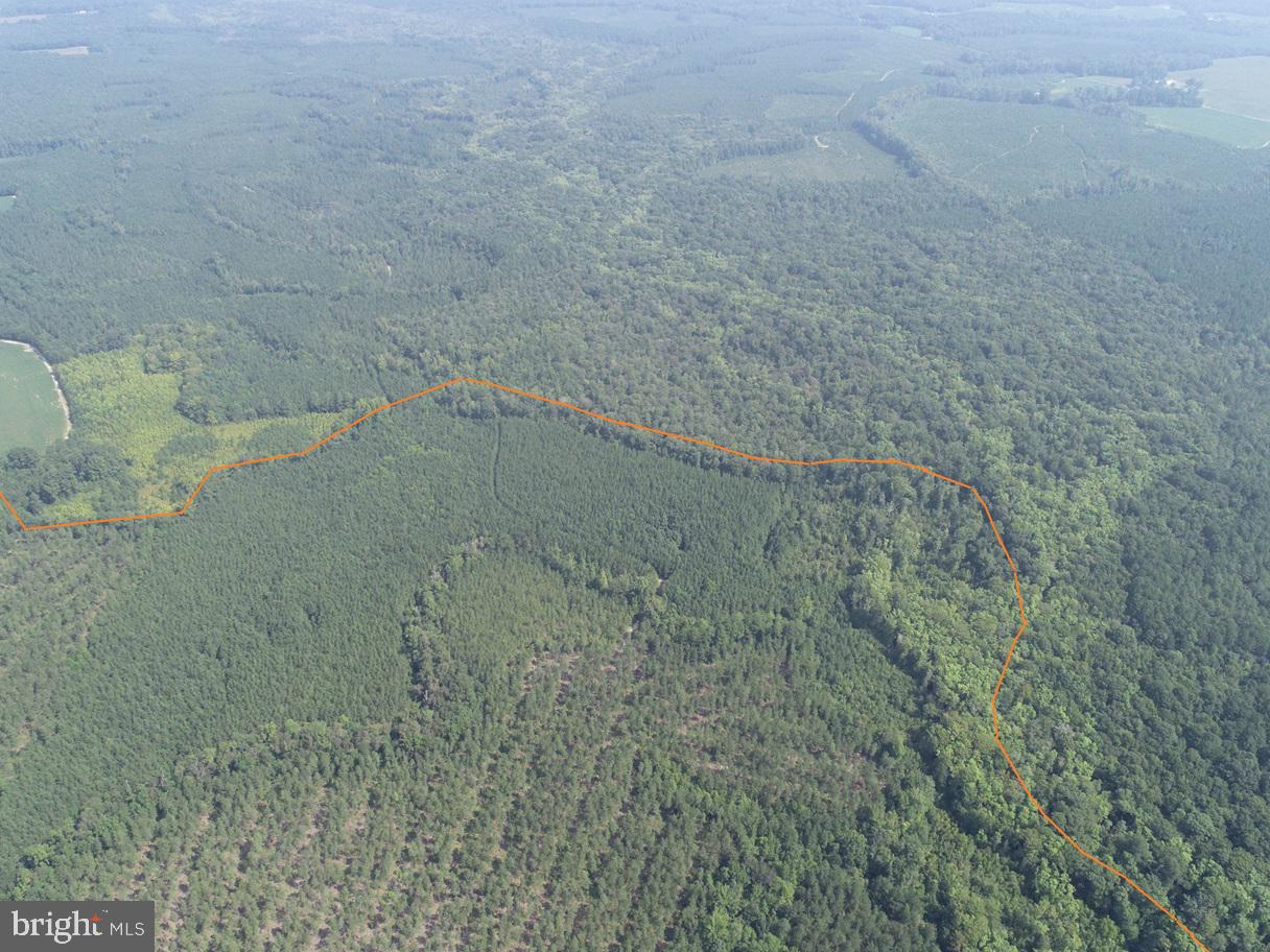 PLANK ROAD (TRACT: CHESAPEAKE SOUTHAMPTON 2)