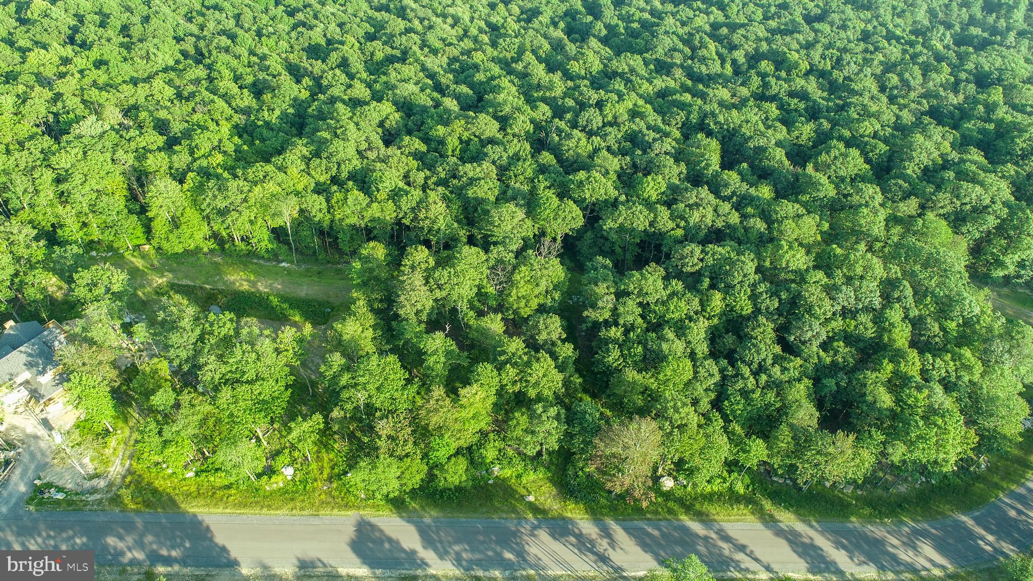 FORK RUN TRAIL