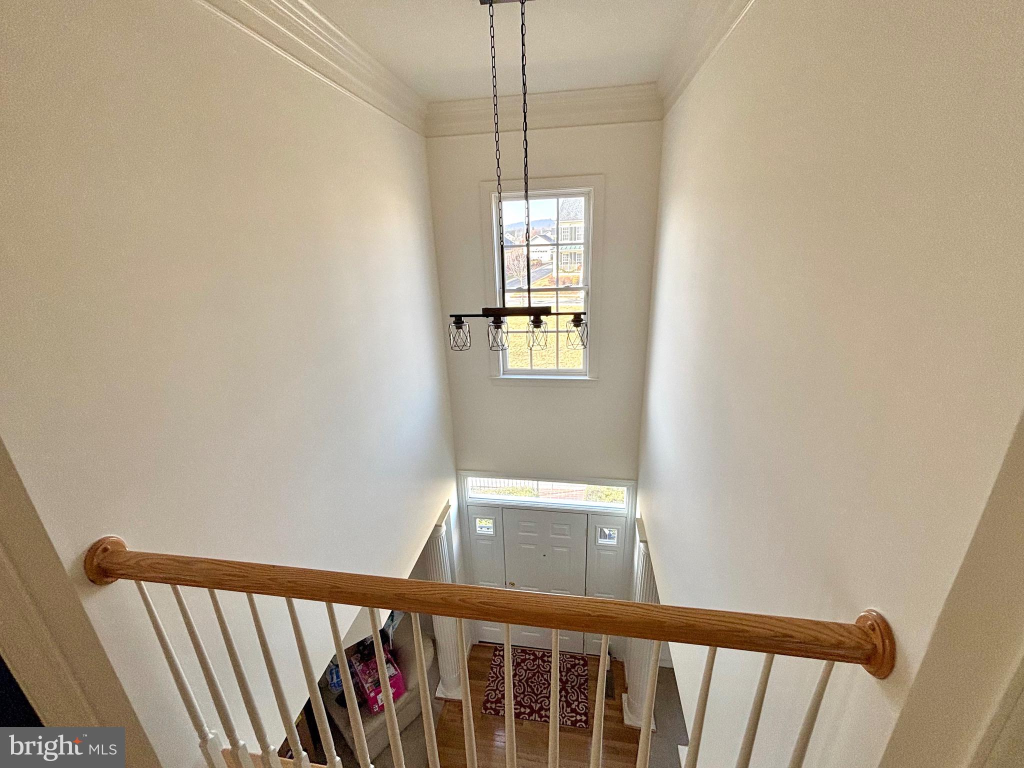 ADAMSTOWN COMMONS - Residential