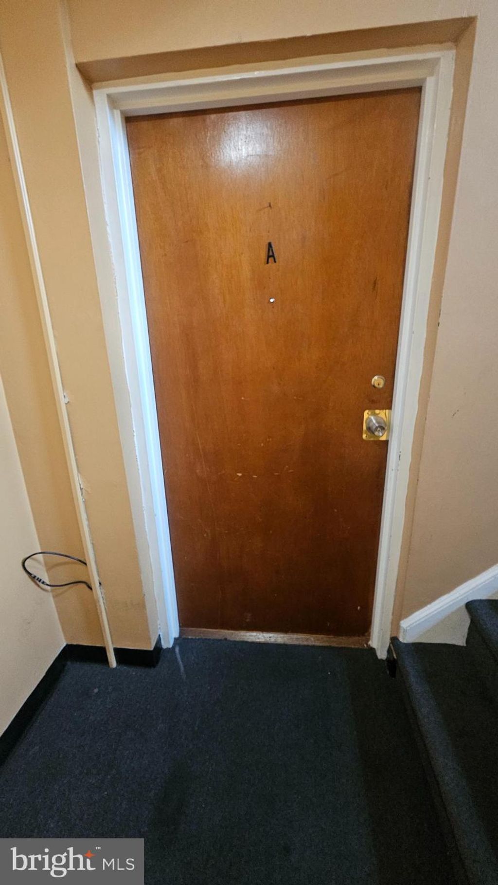 Photo of 529 - 31 Mckinley Street #A, PHILADELPHIA, PA 19111 (MLS # PAPH2554858)