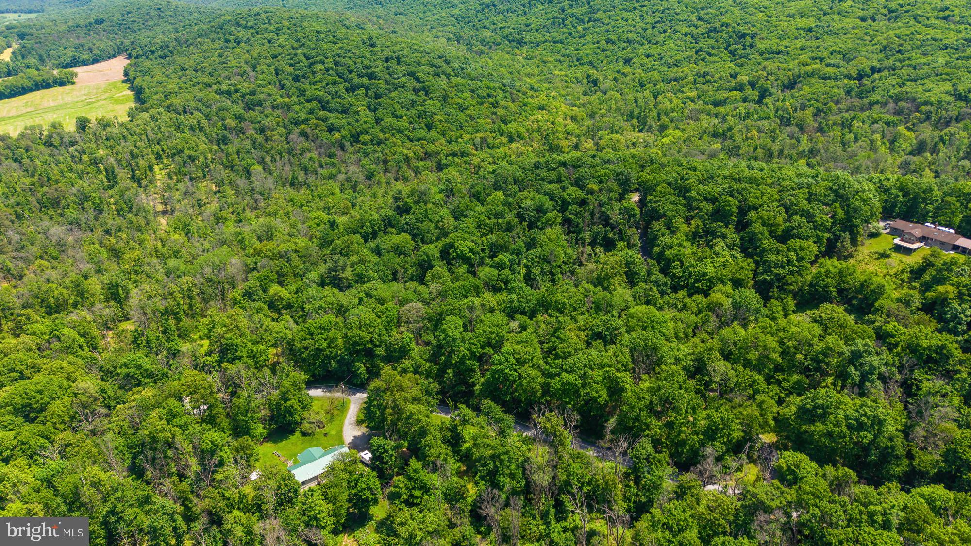 165 MOUNTAIN ROAD A