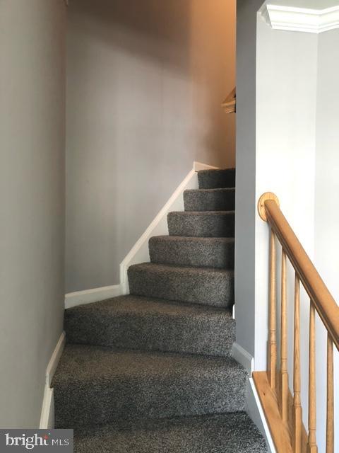 TROUT RUN - Residential Lease