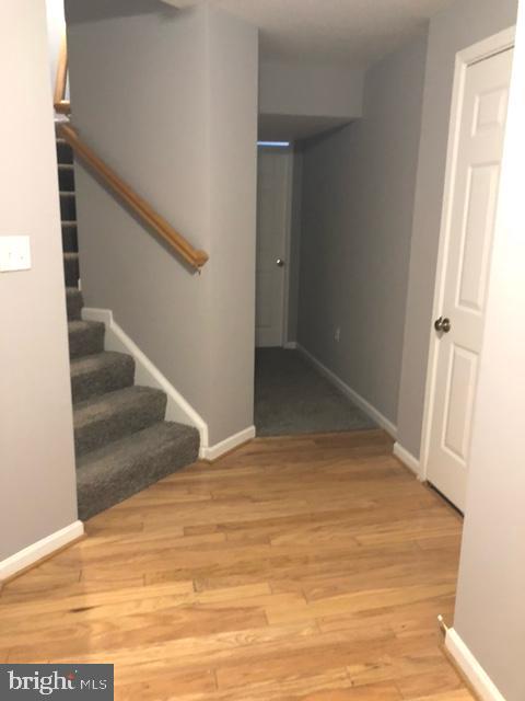 TROUT RUN - Residential Lease