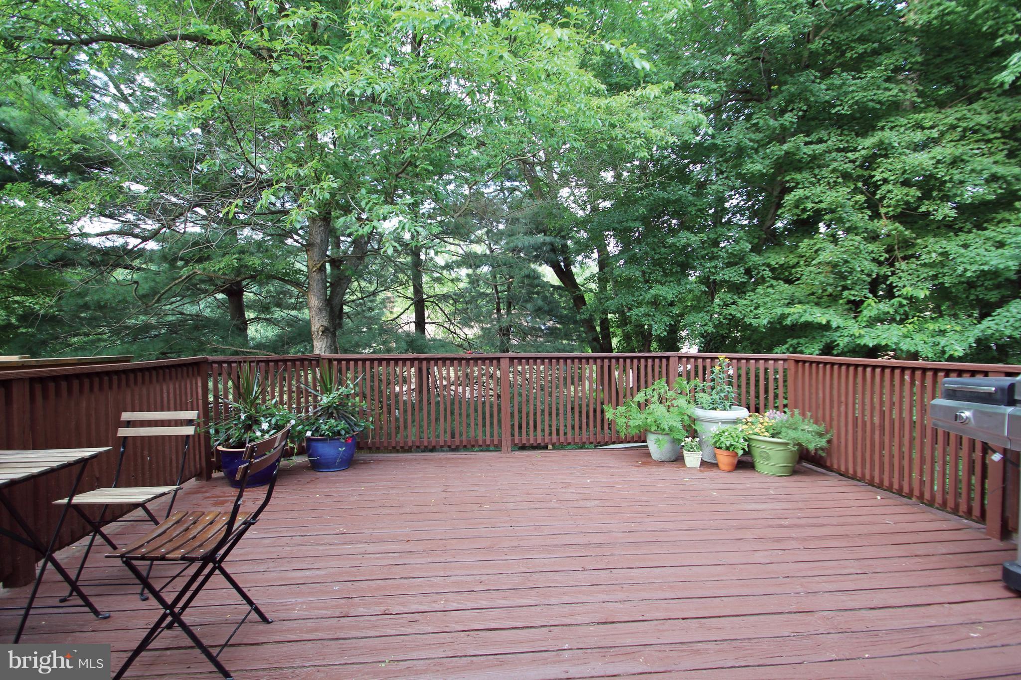 SNOWDENS MILL - Residential