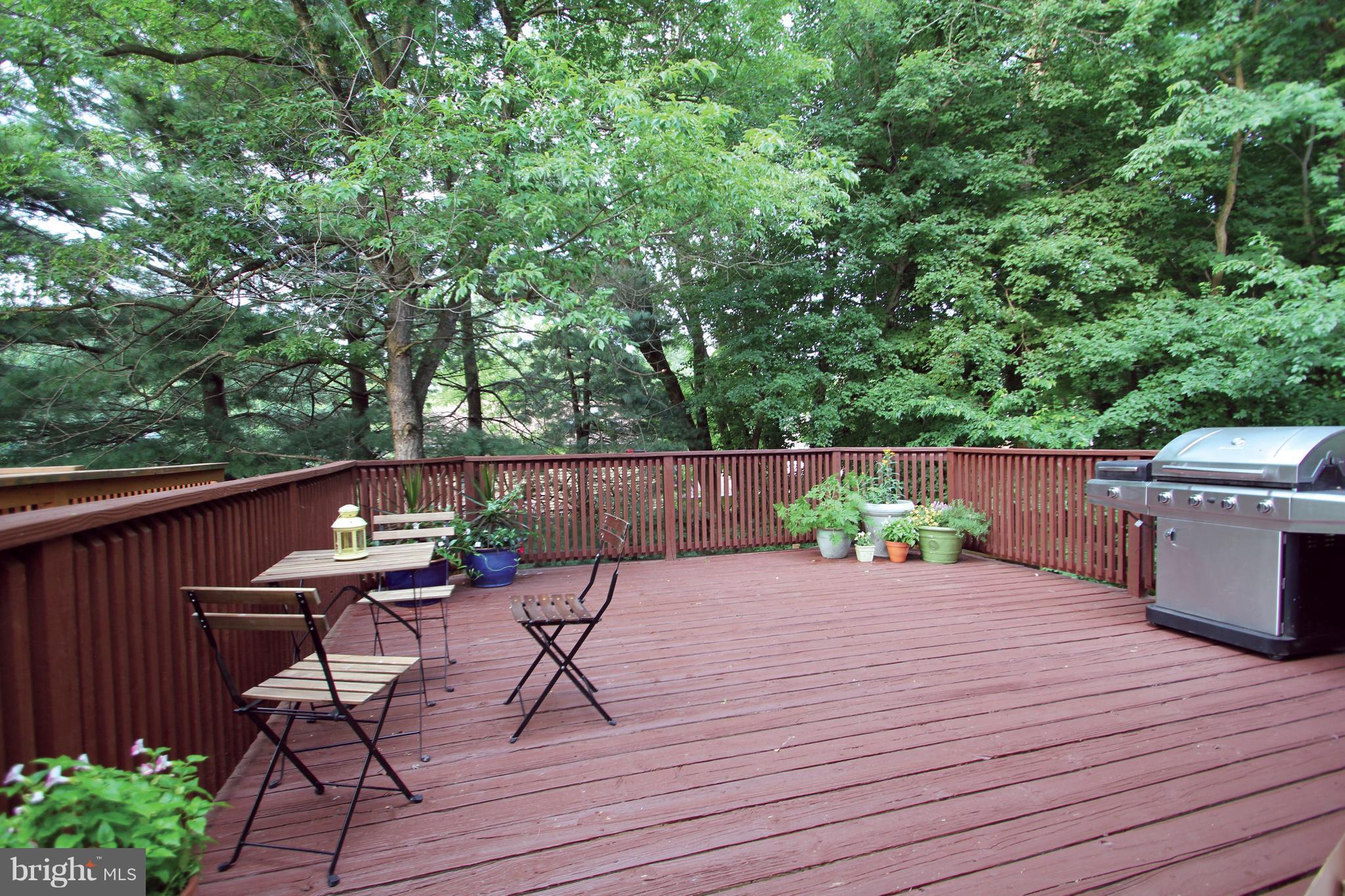 SNOWDENS MILL - Residential