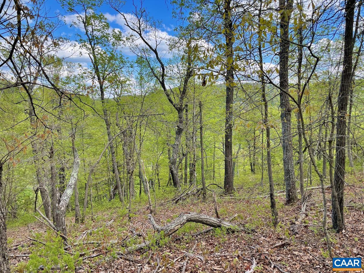 NONE AVAILABLE - Land